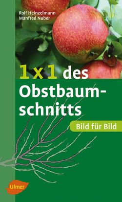 Obstgehölzschnitt