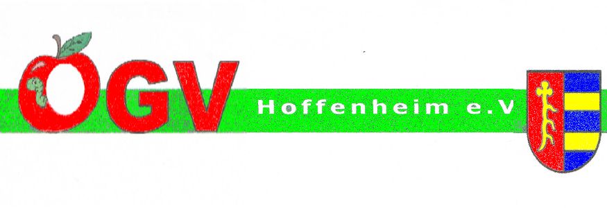 hoffenheim 875